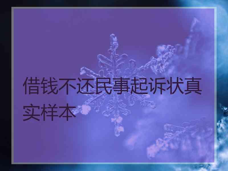 借钱不还民事起诉状真实样本