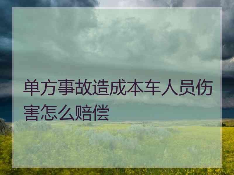 单方事故造成本车人员伤害怎么赔偿