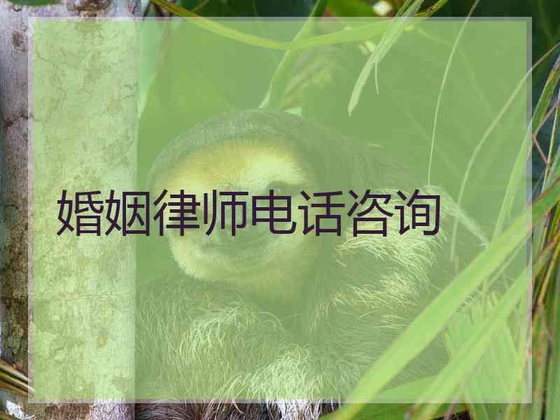 婚姻律师电话咨询