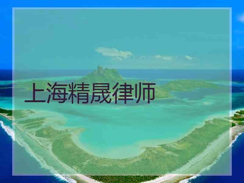 上海精晟律师