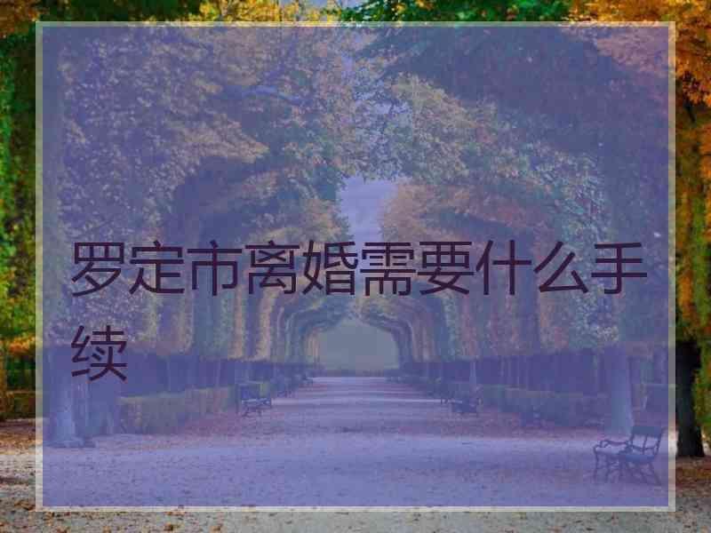 罗定市离婚需要什么手续