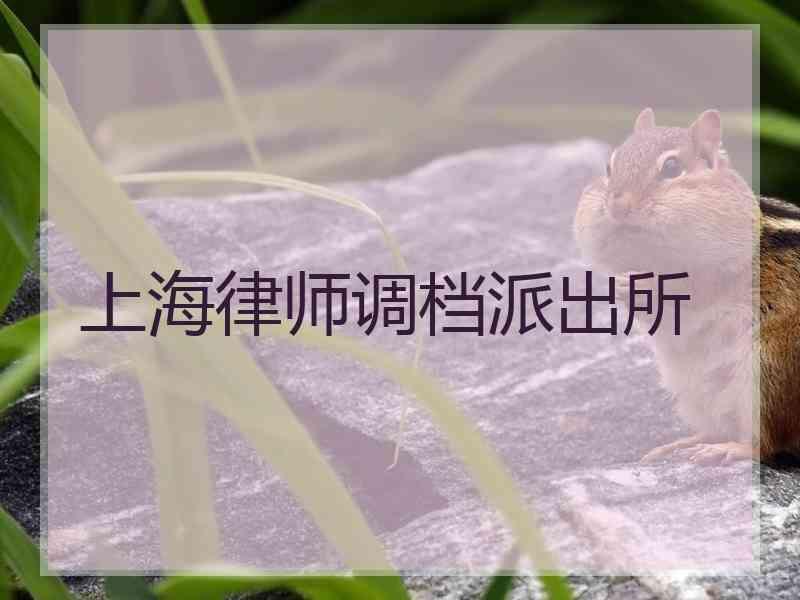 上海律师调档派出所