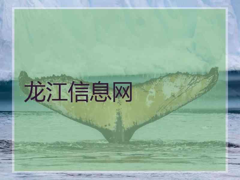 龙江信息网