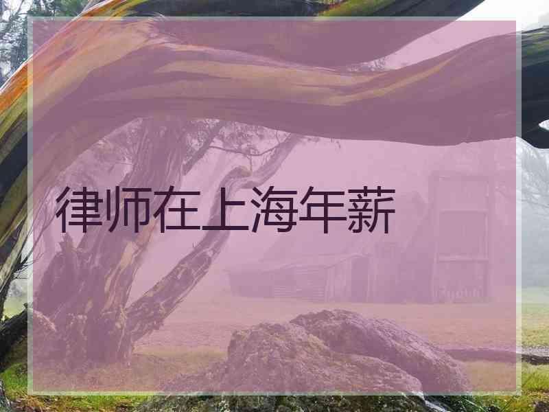 律师在上海年薪