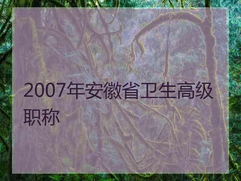 2007年安徽省卫生高级职称