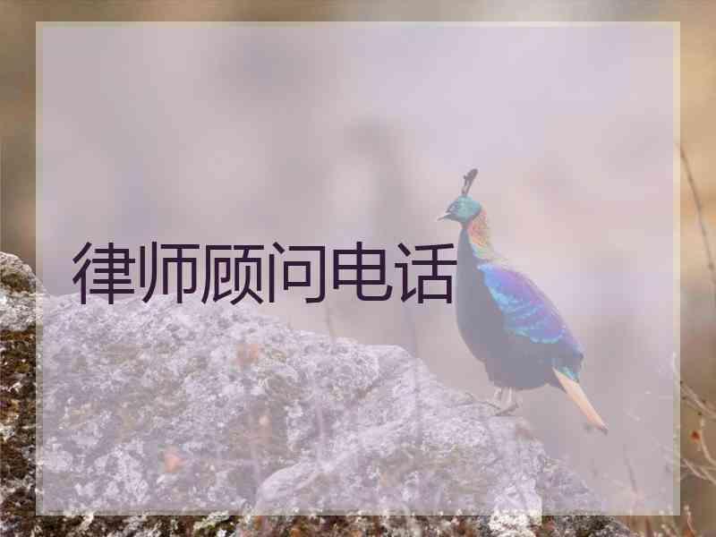 律师顾问电话