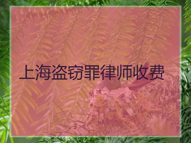 上海盗窃罪律师收费