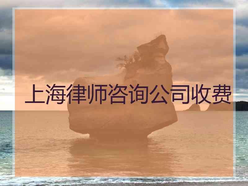 上海律师咨询公司收费