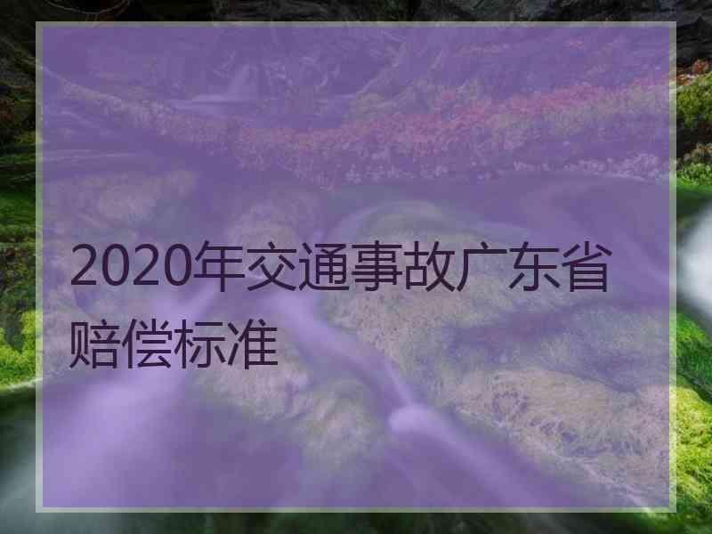 2020年交通事故广东省赔偿标准