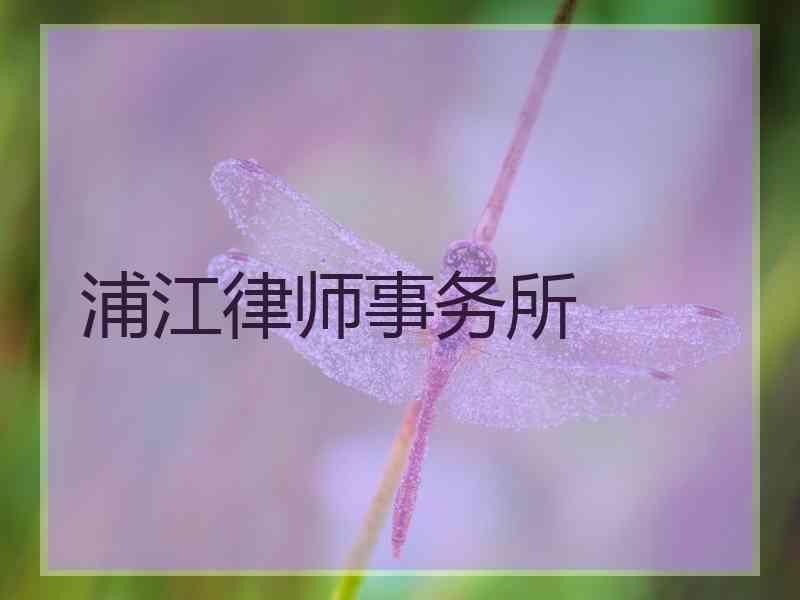 浦江律师事务所