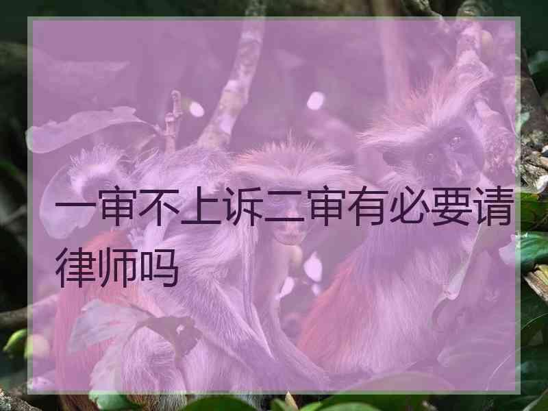 一审不上诉二审有必要请律师吗