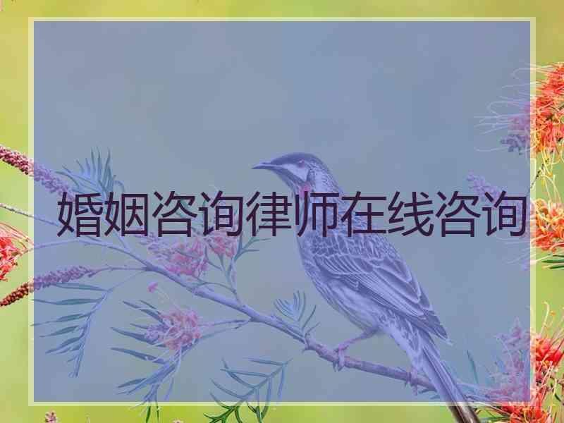 婚姻咨询律师在线咨询