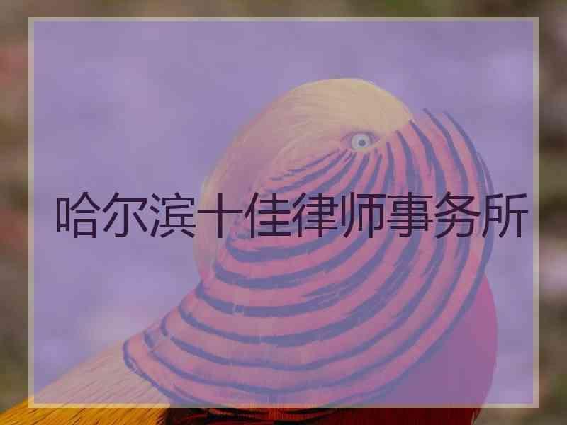 哈尔滨十佳律师事务所