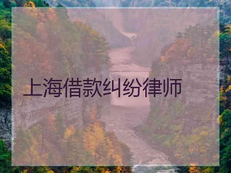 上海借款纠纷律师