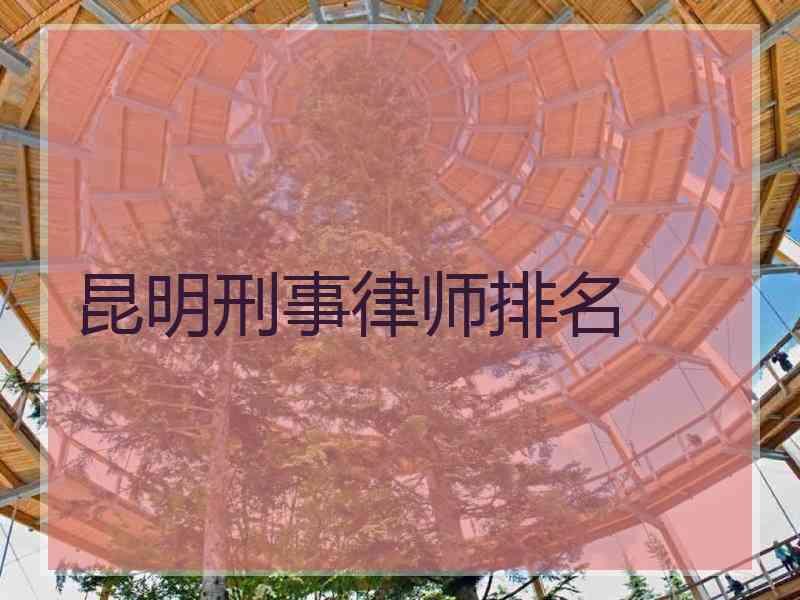 昆明刑事律师排名