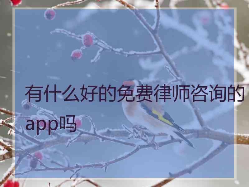 有什么好的免费律师咨询的app吗
