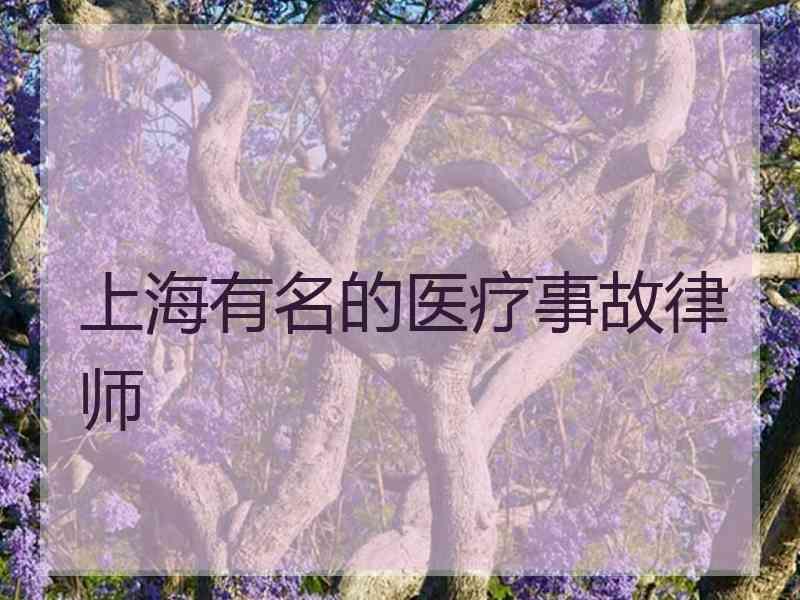 上海有名的医疗事故律师