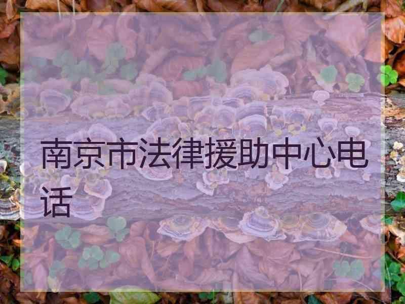 南京市法律援助中心电话