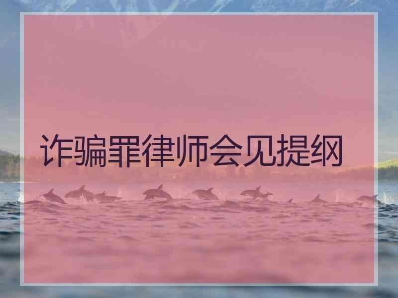 诈骗罪律师会见提纲