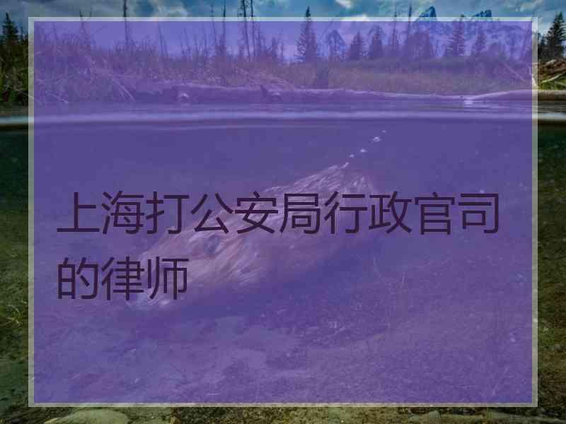上海打公安局行政官司的律师