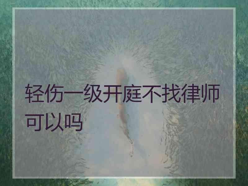 轻伤一级开庭不找律师可以吗