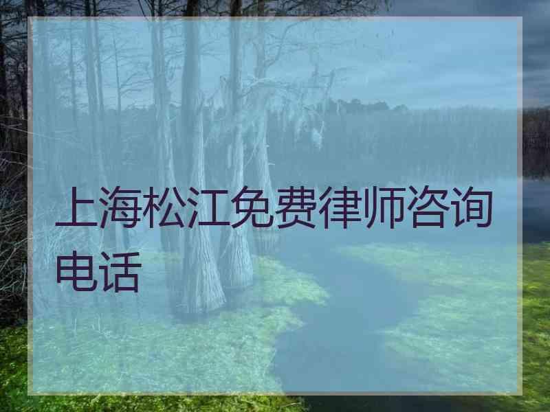 上海松江免费律师咨询电话