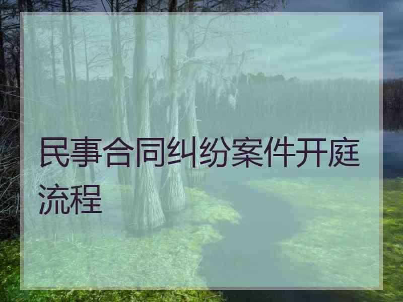 民事合同纠纷案件开庭流程