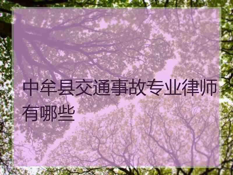 中牟县交通事故专业律师有哪些