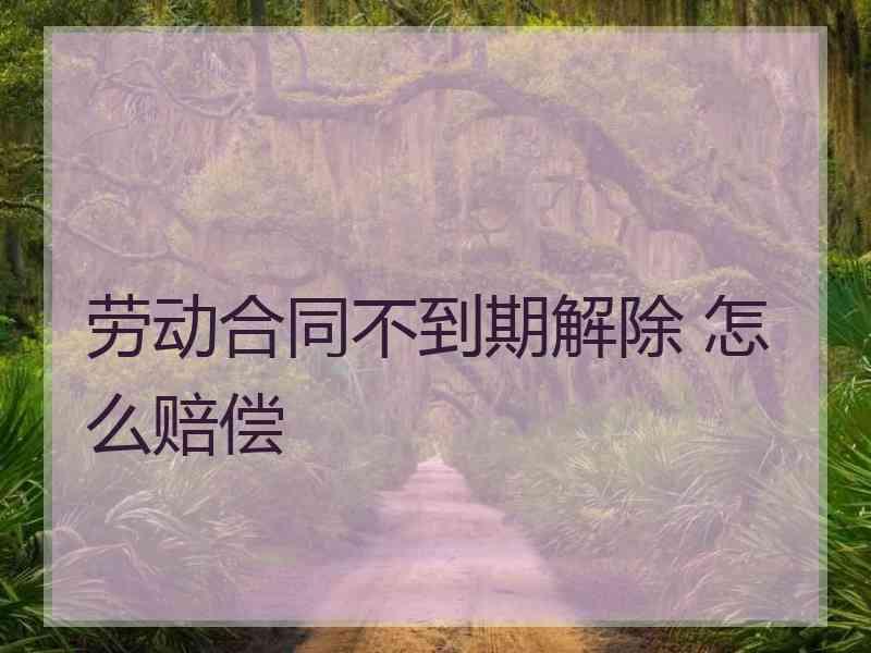 劳动合同不到期解除 怎么赔偿