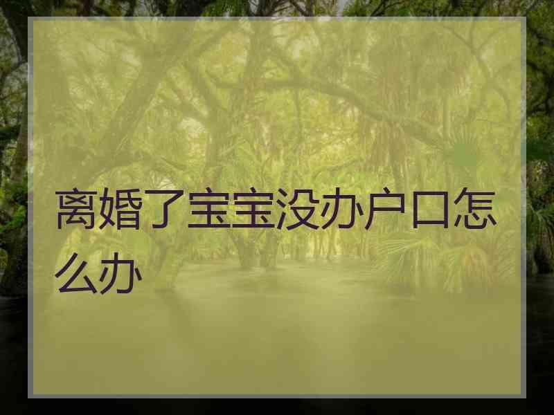 离婚了宝宝没办户口怎么办