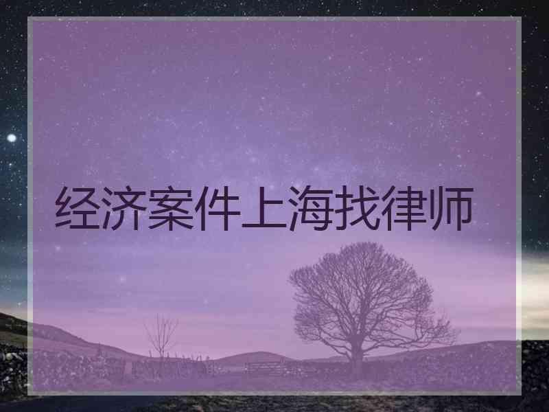 经济案件上海找律师