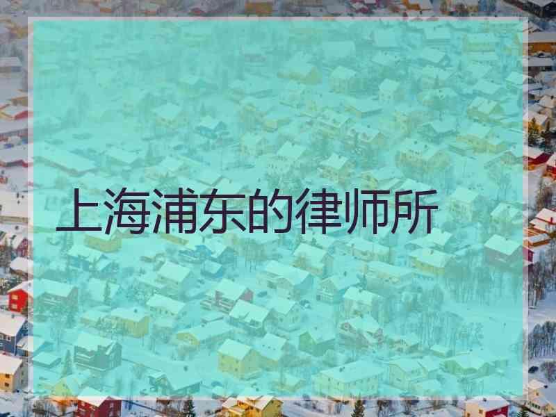 上海浦东的律师所