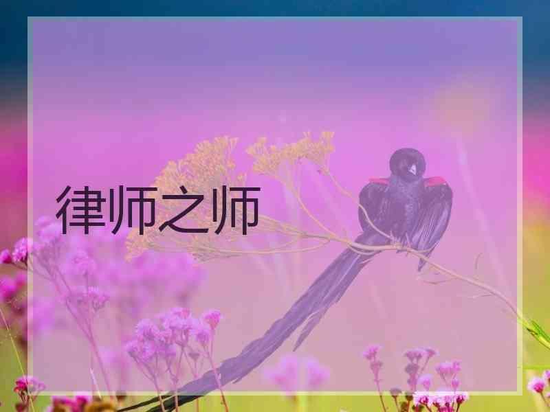 律师之师