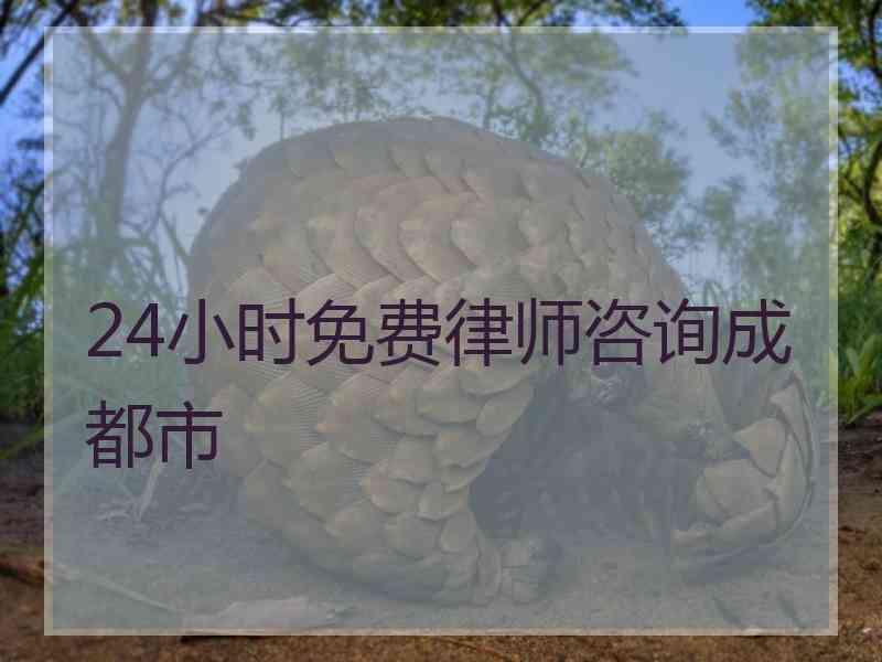 24小时免费律师咨询成都市