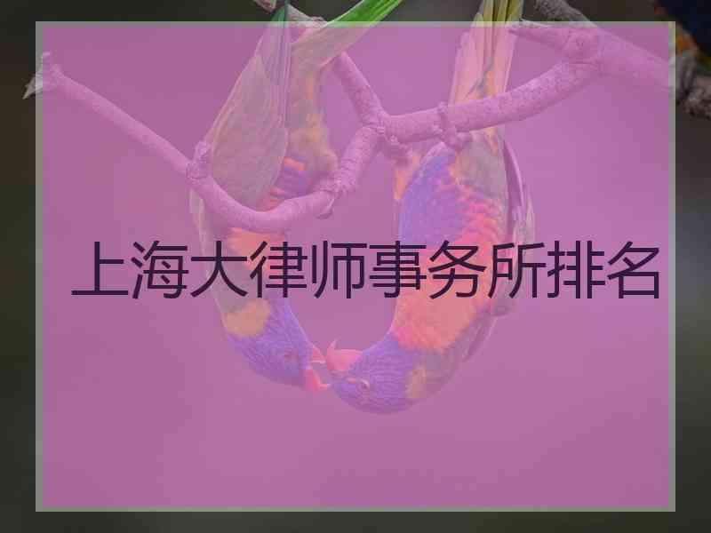 上海大律师事务所排名