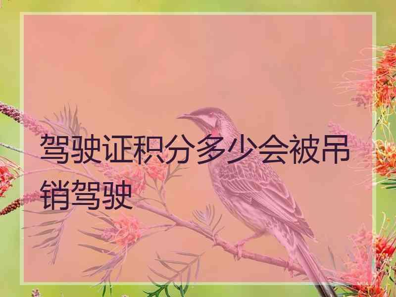 驾驶证积分多少会被吊销驾驶