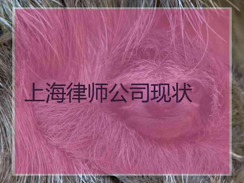 上海律师公司现状