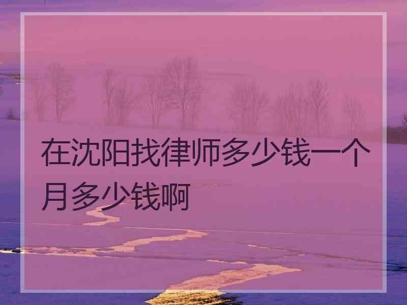 在沈阳找律师多少钱一个月多少钱啊