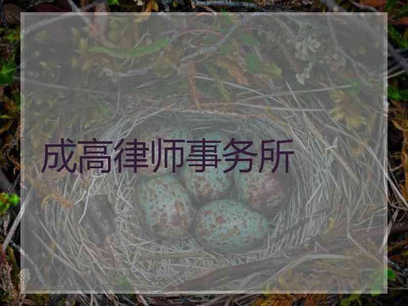 成高律师事务所