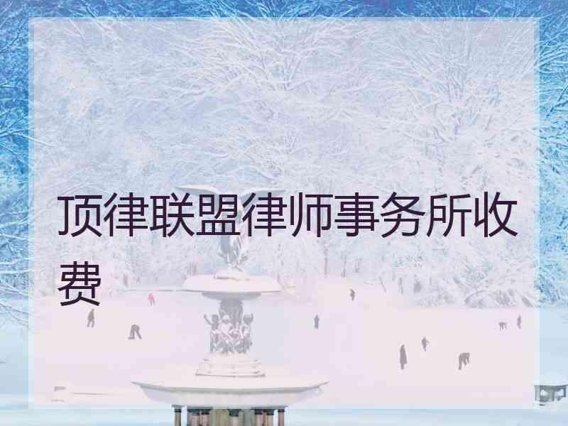 顶律联盟律师事务所收费