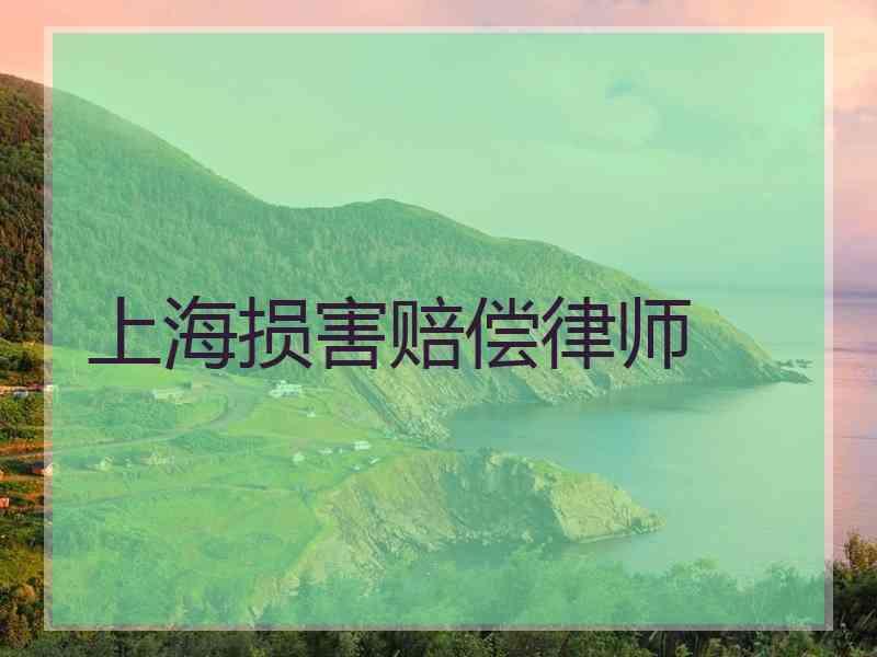 上海损害赔偿律师