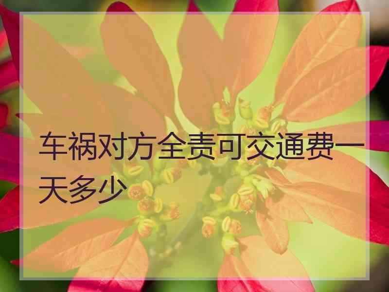 车祸对方全责可交通费一天多少