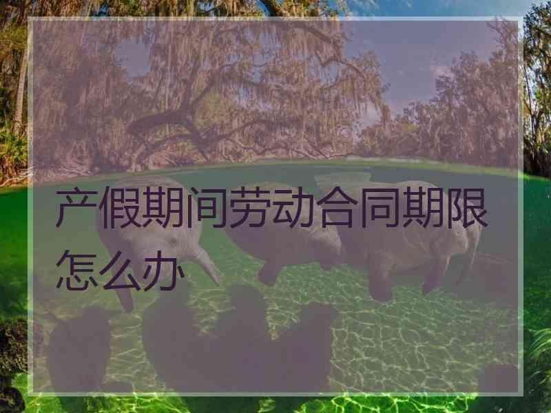 产假期间劳动合同期限怎么办