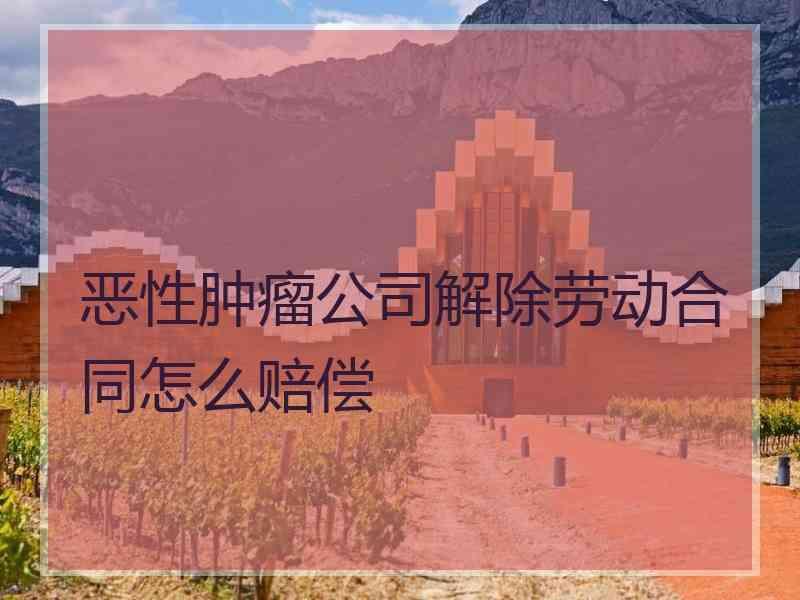 恶性肿瘤公司解除劳动合同怎么赔偿