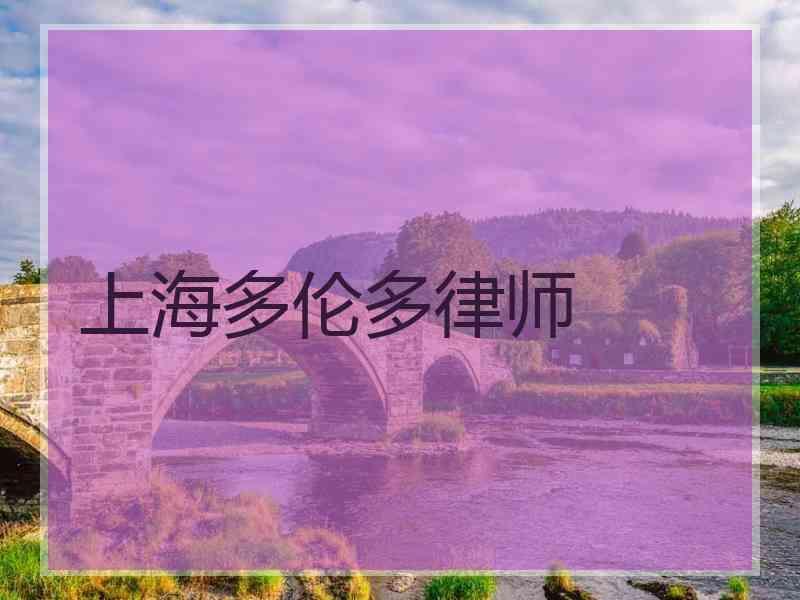 上海多伦多律师