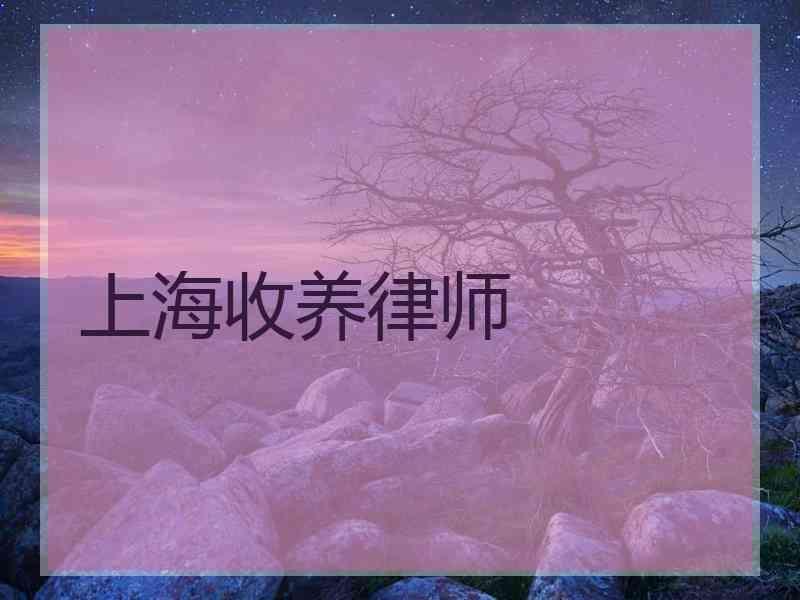 上海收养律师