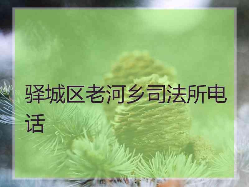 驿城区老河乡所电话