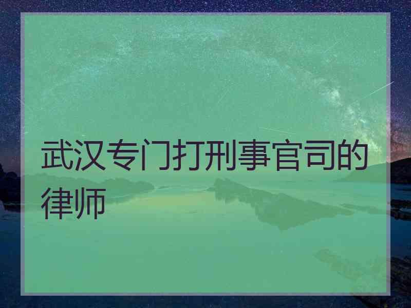 武汉专门打刑事官司的律师