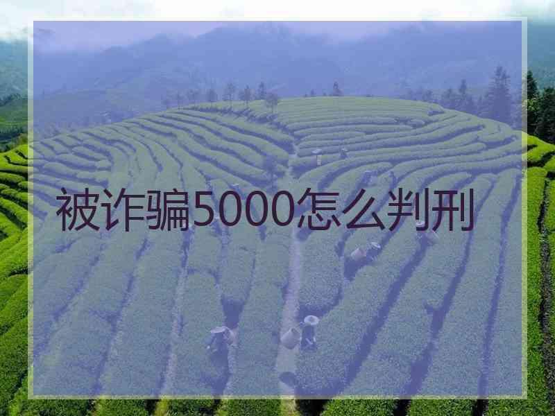 被诈骗5000怎么判刑