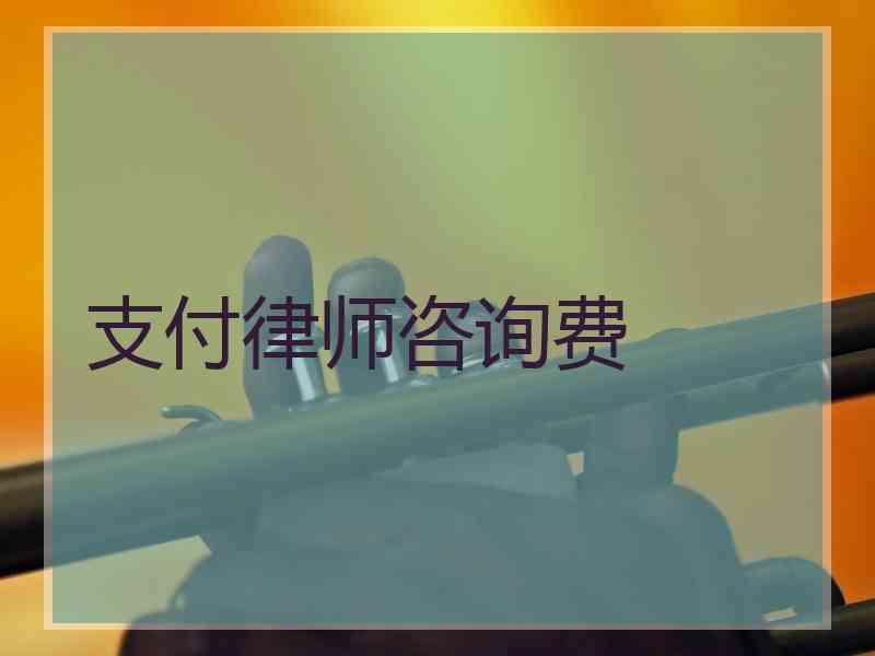 支付律师咨询费